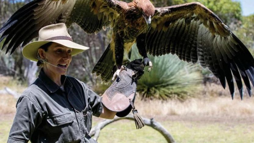 Raptor Domain, Kangaroo Island