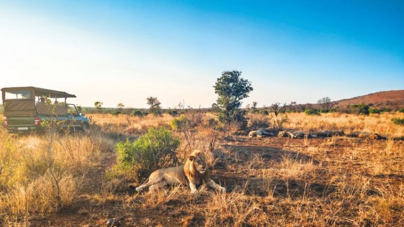 Kruger National Park, South Africa