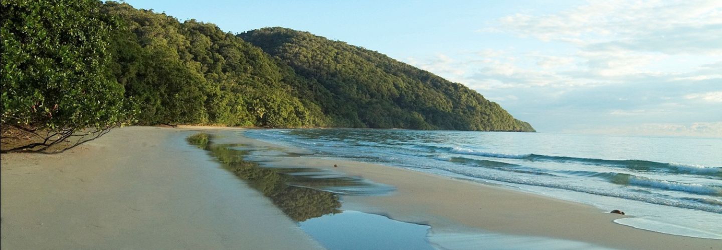 Cape Tribulation Beach