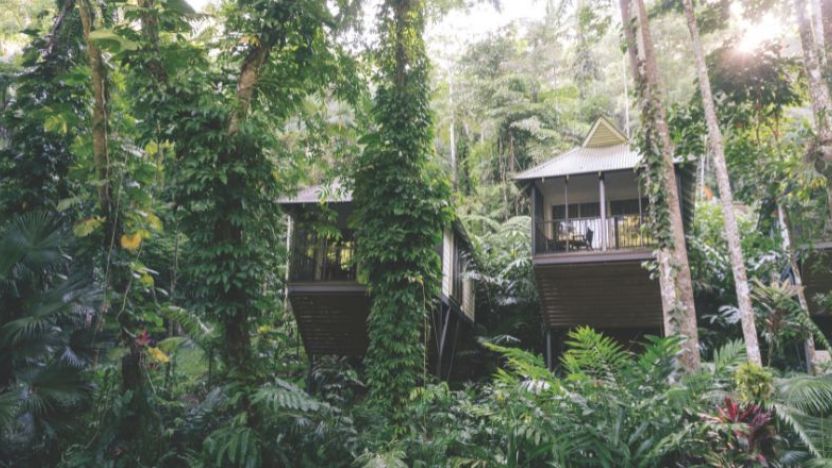 Daintree Eco Lodge