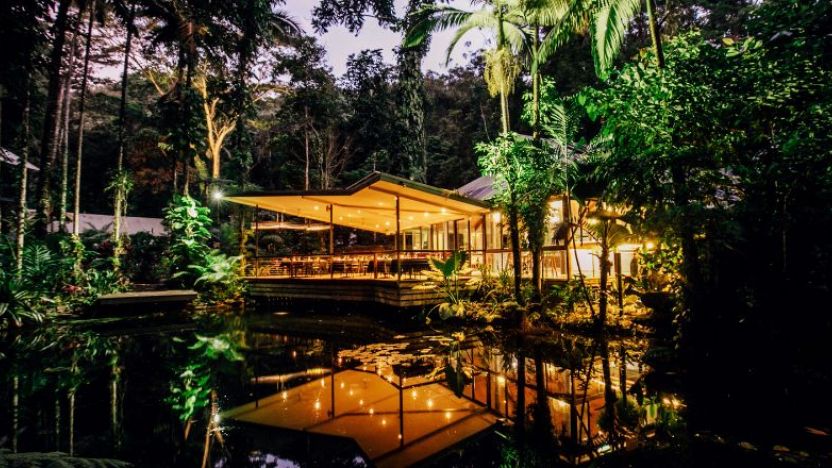 Daintree Eco Lodge