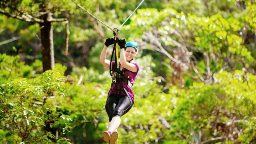 Cape Tribulation Zipline
