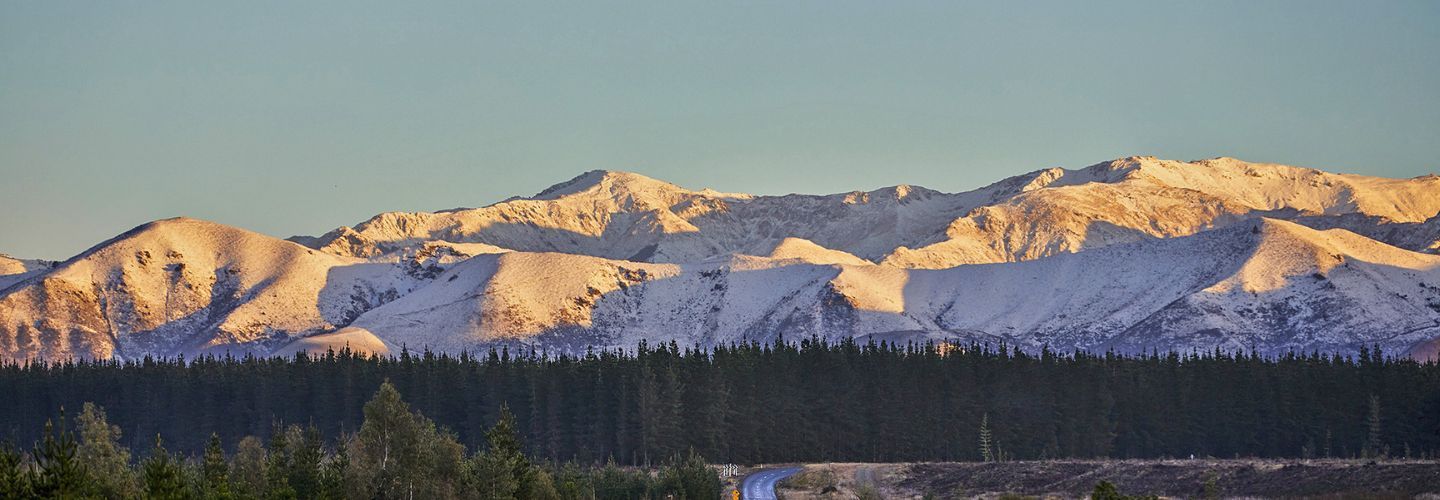 Springfield, New Zealand