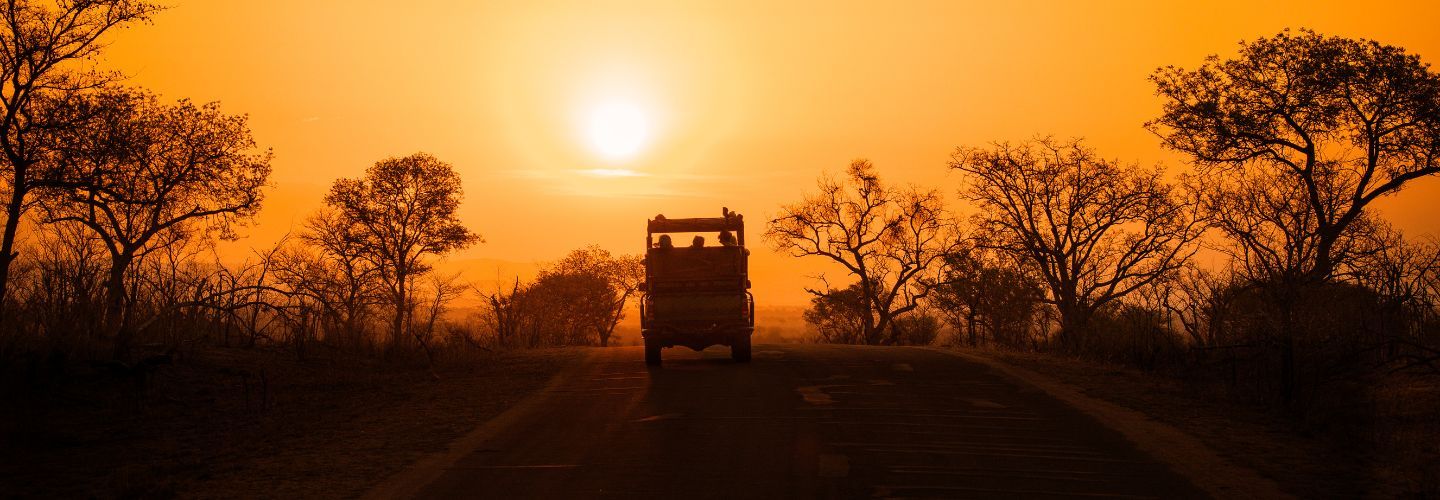 Sunset game drive, South Africa