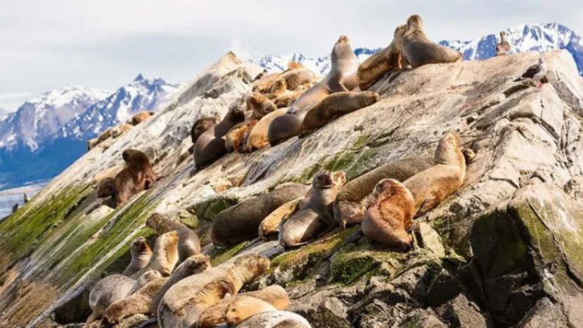 Ushuaia, Argentina